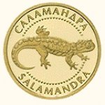 2 гривны 2003 г. Украина (30)  -6014536 - реверс